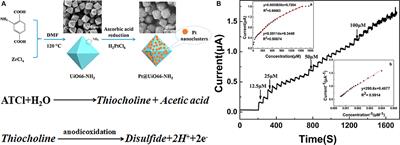 Recent Progress of the Practical Applications of the Platinum Nanoparticle-Based Electrochemistry Biosensors